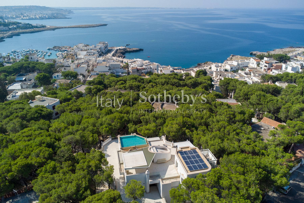 Prestigious villa with sea view pool