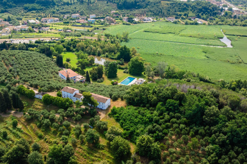 Elegant Tuscan Villa with pool, pond and dépandance 42890