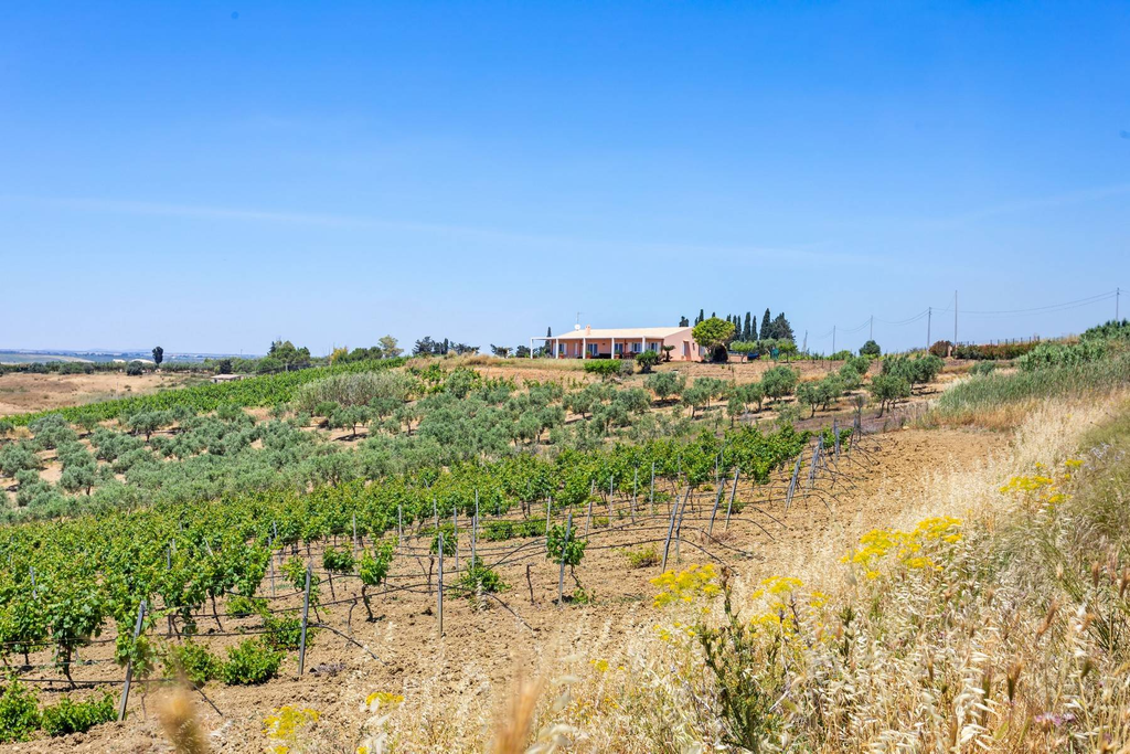 Stunning villa immersed in the countryside and overlooking the sea