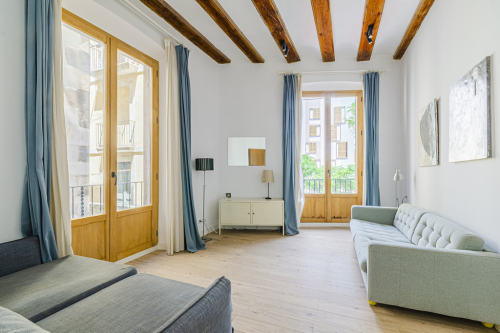 Excellent renovated apartment in the best area of El Born 42737