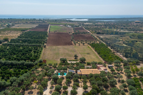 Ancient masseria in Vendicari 42909