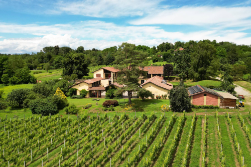 Exclusive wine estate 42992