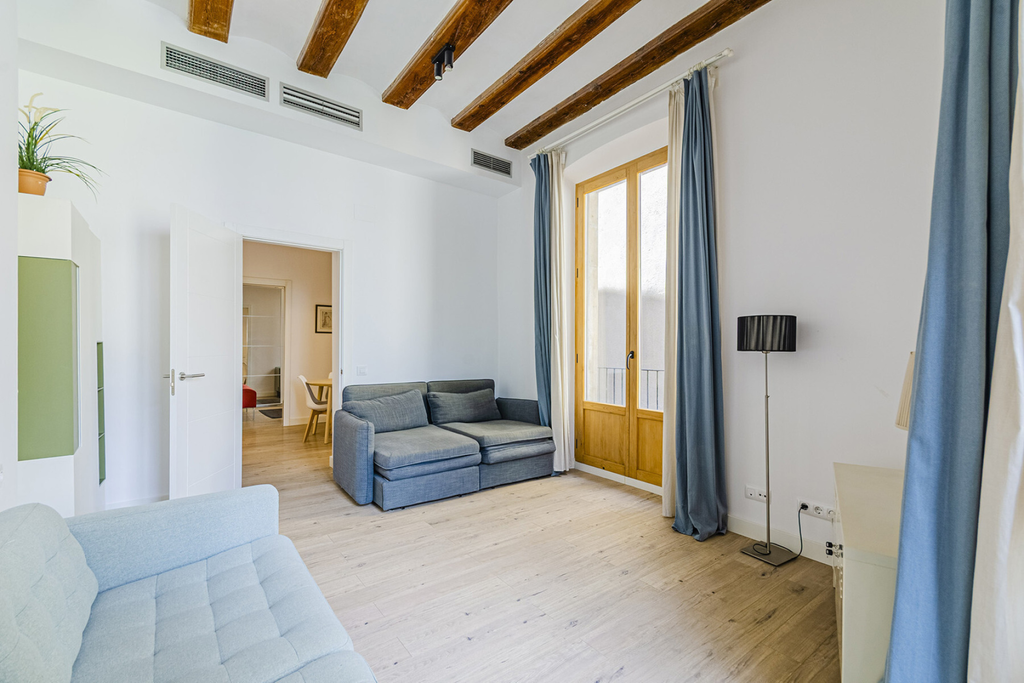 Excellent renovated apartment in the best area of El Born